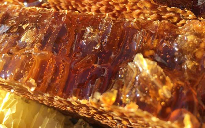 養蜂人怎么打造蜂蜜品牌（怎么做好品牌）