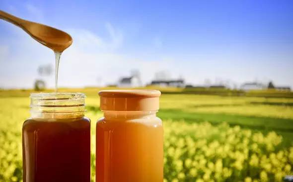 美容蜂蜜選什么蜂蜜好(蜂蜜的功效) 美容蜂蜜選什么蜂蜜好(蜂蜜的功效)