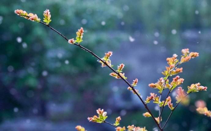 北方室內蜂群的越冬管理方法