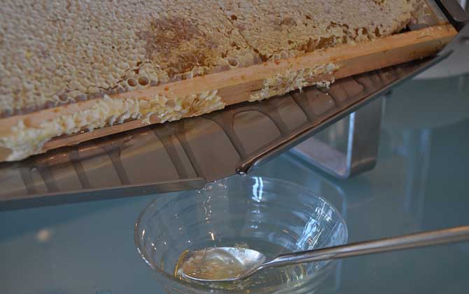 蜂蜜有什么功效與用途(蜂蜜的功效與作用) 蜂蜜有什么功效與用途(蜂蜜的功效與作用)