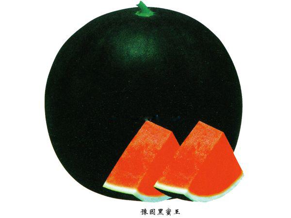 無(wú)籽西瓜有哪些品種（15種無(wú)籽西瓜品種介紹）