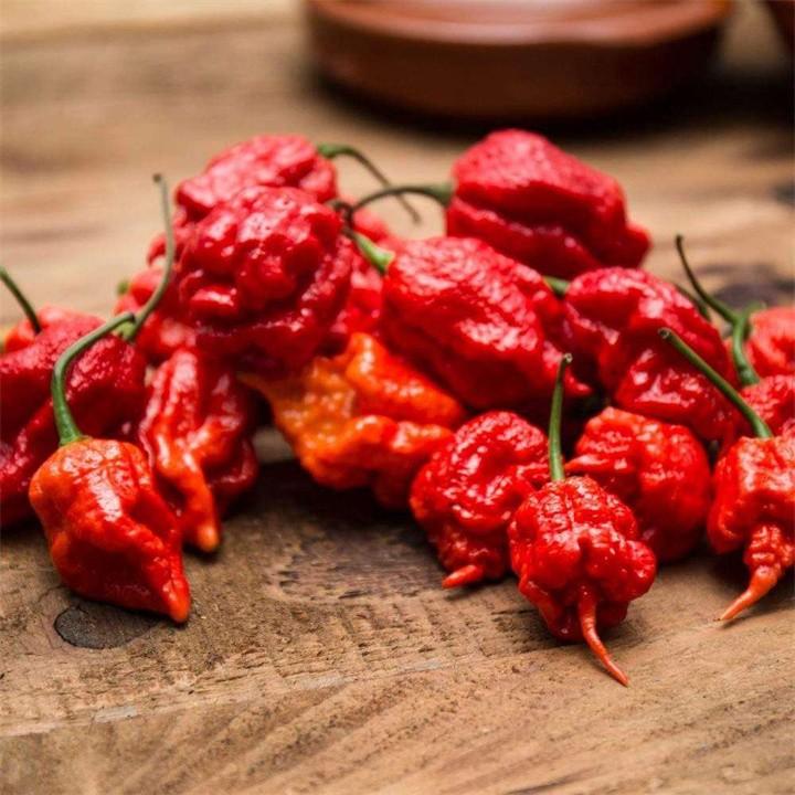 世界上最辣的辣椒叫什么名字(世界上最辣的辣椒排行榜) 世界上最辣的辣椒叫什么名字(世界上最辣的辣椒排行榜)