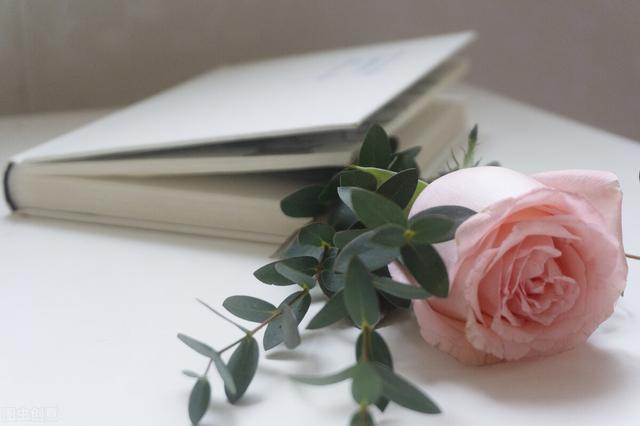 予人玫瑰手有余香是什么意思(贈(zèng)人玫瑰手有余香的精神) 予人玫瑰手有余香是什么意思(贈(zèng)人玫瑰手有余香的精神)