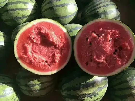 西瓜產(chǎn)地哪里最好(中國10大優(yōu)質(zhì)西瓜產(chǎn)地) 西瓜產(chǎn)地哪里最好(中國10大優(yōu)質(zhì)西瓜產(chǎn)地)