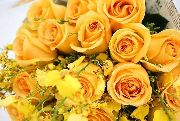 黃玫瑰花語是什么意思(黃玫瑰花語和象征意義) 黃玫瑰花語是什么意思(黃玫瑰花語和象征意義)