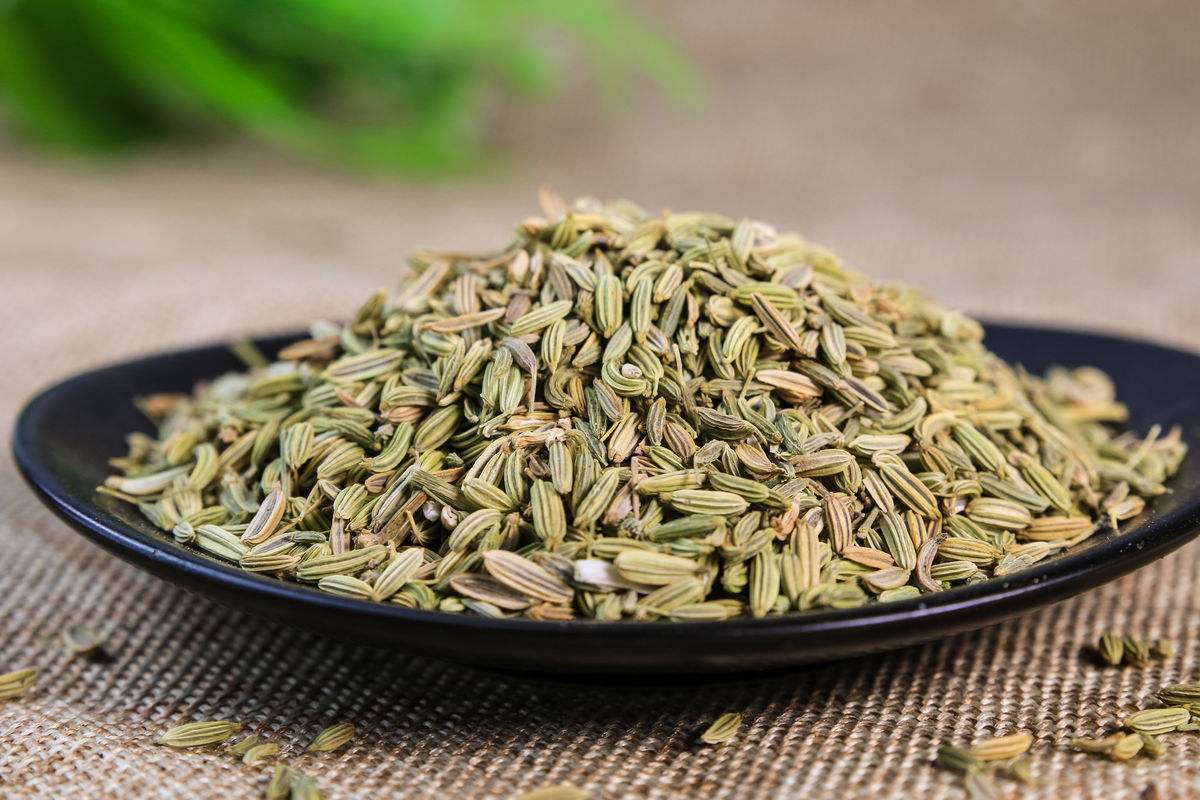 小茴香和大茴香有什么區別(大小茴香的區別方法) 小茴香和大茴香有什么區別(大小茴香的區別方法)