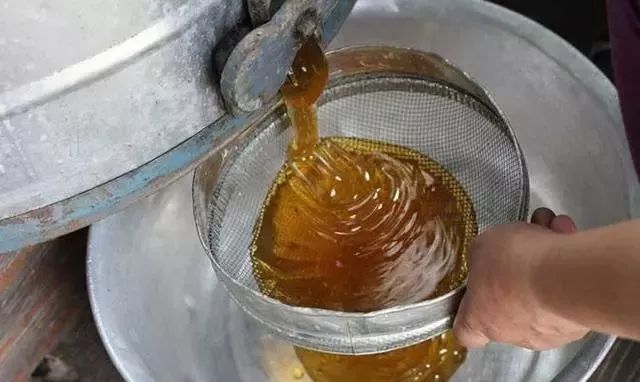 帶幼蟲和蜂王怎么取蜜(高效取蜜方法) 帶幼蟲和蜂王怎么取蜜(高效取蜜方法)