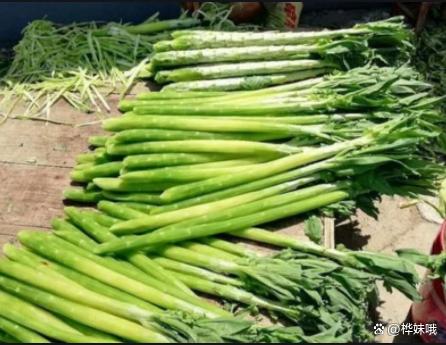 20240416220923_272817.jpeg a686c9177f3e6709b611d644ff874b30f9dc55c2.jpeg