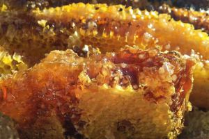 蜂蜜價(jià)格為什么高低不等？