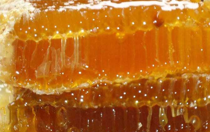 蜂巢蜜怎么吃最好？吃對了好處不用多說，吃錯了反而弊大于利！