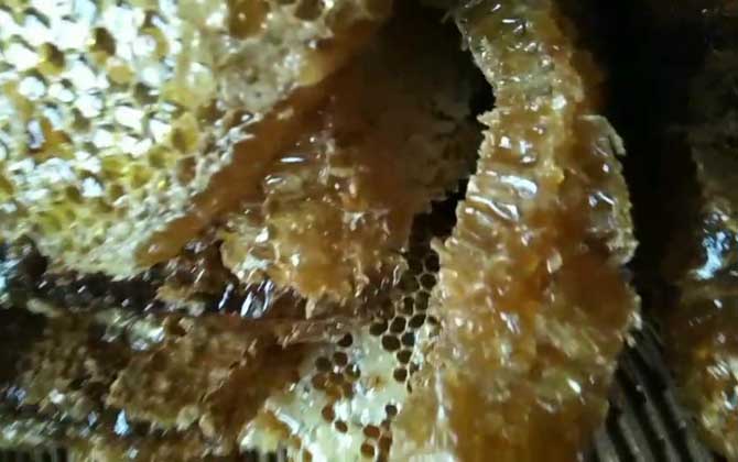 純土蜂蜜一斤多少錢？基本都在100元以上，低于60元想都不用想！