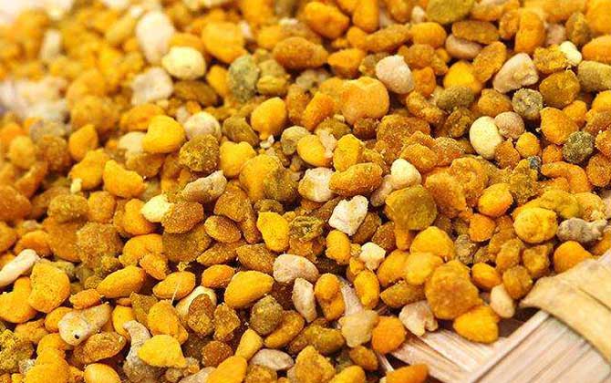 蜂花粉的禁忌有哪些？除了不能過量食用，還要提防發(fā)生過敏反應！