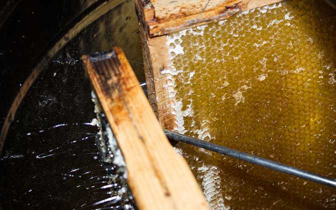 真蜂蜜大概多少錢一斤？最便宜的都要50元，有些甚至要200多元！