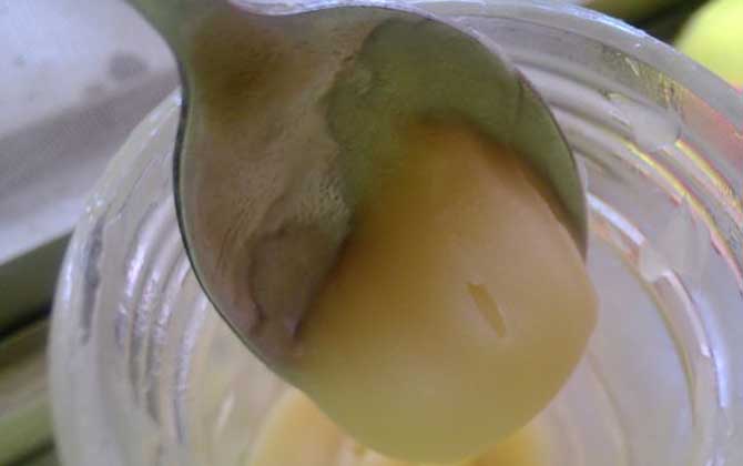 蜂蜜結晶了怎么融化？非常簡單，只需適當提高環境溫度便能融化！