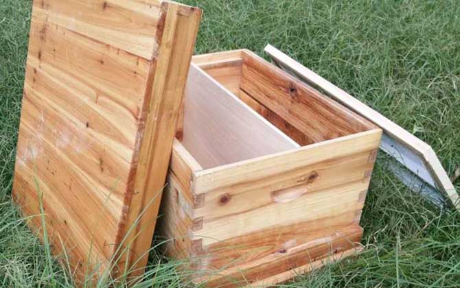 養中蜂工具大全及價格，使用這些工具，中蜂養殖將事半功倍！