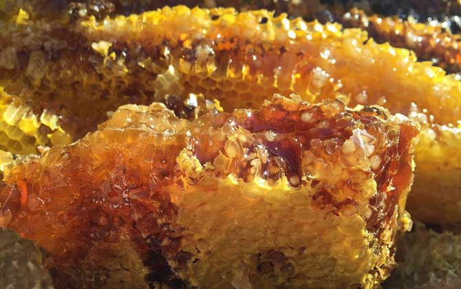 蜂蜜價格為什么有高有低？