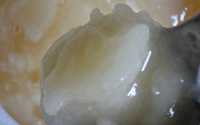 20元一斤蜂蜜是真的嗎？