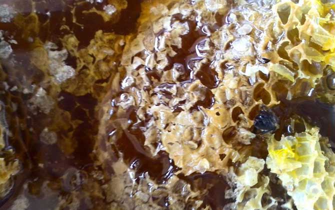 純野生蜂蜜200元一斤貴嗎？