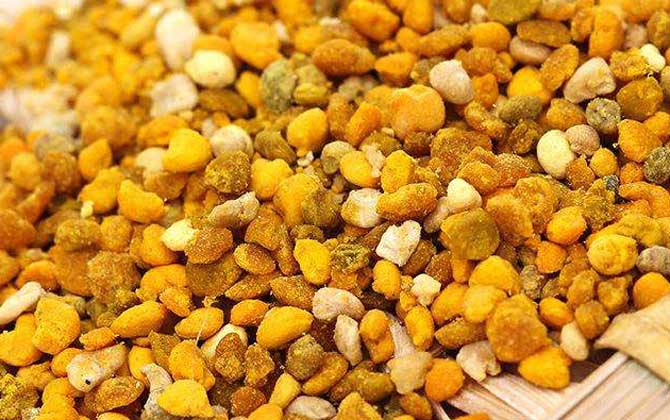 最新蜂花粉價格多少錢一斤？