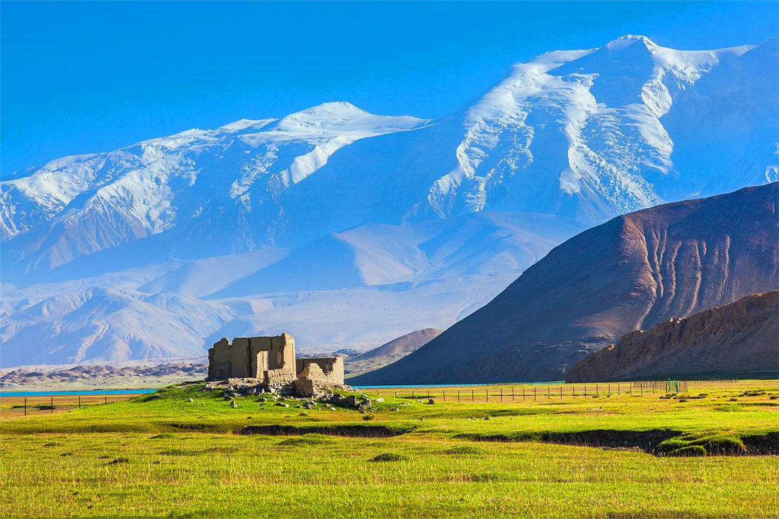 帕米爾高原的香鼬為何散發一種香氣？